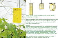 Piège à insectes collant résistant aux UV pour jardin, double couche, haute viscosité, pour arbres fruitiers