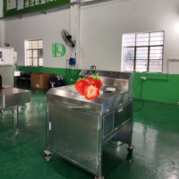 DQ Guangzhou Daqiao Industrieel Commercieel Ananas Snijmachine Vers Fruit Verwerkingslijn Motor Kerncomponent 60000