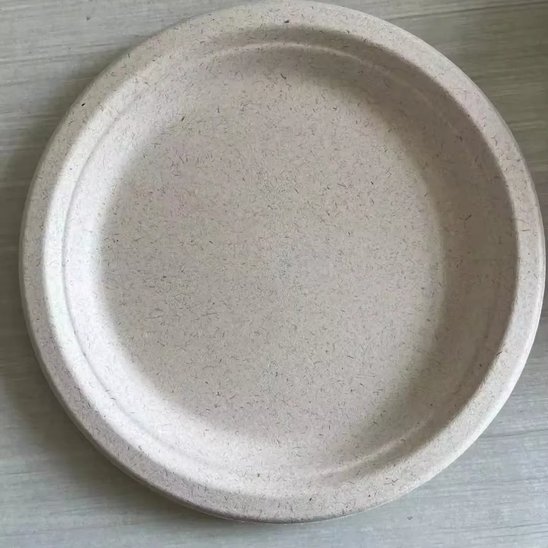 Disposable sugarcane bagasse dishes compostable biodegradable plates saucer bowls