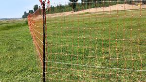 Clôture <span class=keywords><strong>électrique</strong></span> Polynet, système de <span class=keywords><strong>filet</strong></span> durable pour la <span class=keywords><strong>volaille</strong></span> et le bétail - Product Image 6