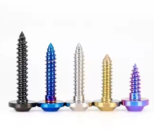 <span class=keywords><strong>GR5</strong></span>カラフルチタンTorxヘッドセルフタッピングネジ - Product Image 2