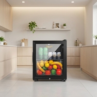 Mini-réfrigérateur à vin de style moderne, écologique, de petite capacité (50L), à porte simple, pour hôtel, maison ou usage domestique.