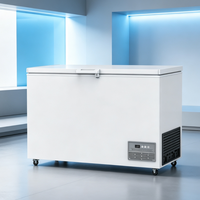 Vente directe d'usine -30 ° Congélateur basse température de grande capacité C 460L pour usage commercial et domestique