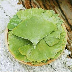 شاي أعشاب الجنكة بيلوبا الخام الأكثر مبيعًا، أوراق مجففة سائبة للصحة، أوراق الجنكة بيلوبا المجففة بالجملة / أوراق الجنكة / مشروب فوليوم جينكو - Product Image 2