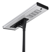 Luminaire LED solaire DC en aluminium 120W IP66 pour éclairage de voirie, zones de stationnement, parcs, villages et routes