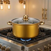 Ensemble de 12 casseroles et poêles en aluminium avec revêtement antiadhésif non toxique doré
