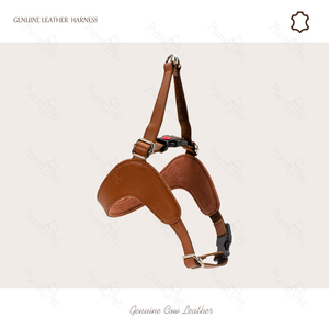 Großhandel Maßgefertigtes Bestverkauftes Haustier Leder Hundegeschirr Kleiner Hund Halsbänder Leinen - Product Image 4