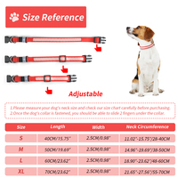 Collier pour chien lumineux à LED personnalisé en gros de Chine, accessoires pour animaux de compagnie, collier pour chien à LED rechargeable et étanche