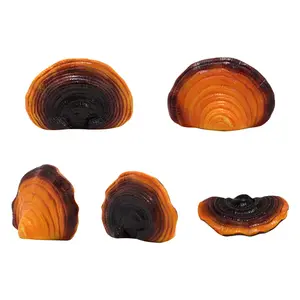 버섯 Ganoderma lucidum 나무 벽 장식 야외 수지 동상 실내 안뜰 정원 베란다 울타리 발코니 5 세트