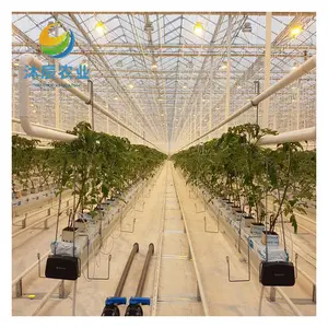 Complete Multispan Glass Agricultural Greenhouse Turnkey Project For Lettuce