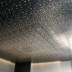 Tôle perforée en aluminium de 3mm enduite de poudre de trou fendu découpée avec des matrices pour la façade décorative - Product Image 1
