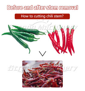 Máquina de despalillado de pimienta Máquina removedora de tallos de pimienta seca Máquina removedora de tallos de Chile - Product Image 2