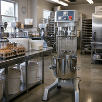 Mélangeur planétaire commercial à double batteur 20L, trois vitesses, entraînement par engrenages, machine électrique pour mélanger la pâte à gâteau pour boulangerie