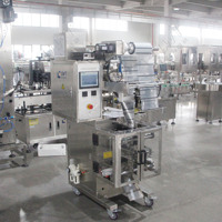 Leadworld Machine d'emballage automatique de haute précision pour 1kg de farine de manioc, de maïs, de blé, de lait en poudre, d'emballage de sac de pochette alimentaire