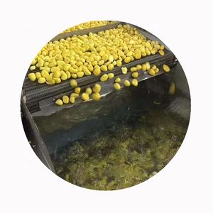 سعر المصنع IQF الكستناء المقشر المجمد مع شهادة BRC - Product Image 6