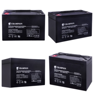 <span class=keywords><strong>Precio</strong></span> al por mayor ZHICHENG <span class=keywords><strong>CHAMPION</strong></span> Batería de almacenamiento solar de ciclo profundo 12V 100Ah Batería de plomo ácido - Product Image 3