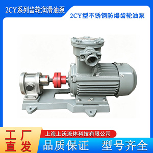 Fabricante de Bombas de Engranajes 2CY-1.08/2.5 Bomba de Engranajes de Hierro Dúctil Eléctrica Rotativa para Transferencia de Aceite Lubricante - Product Image 4