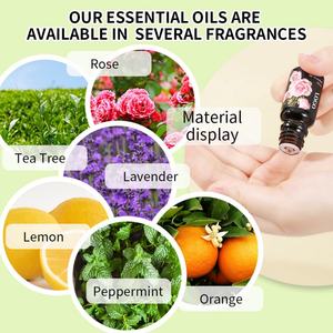 Aceites Esenciales Orgánicos al por Mayor de 10 ml, 100% Puros y Naturales con Aromas de Lavanda, Oliva, Menta, Limón, Árbol de Té y Naranja para el Cuidado de la Piel - Product Image 4