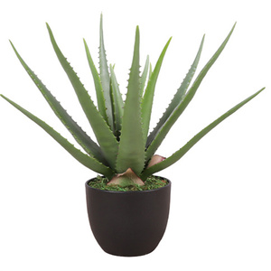 Suculentas artificiales Estilo nórdico ins interior sala <span class=keywords><strong>de</strong></span> estar tienda ventana decoración simulación aloe <span class=keywords><strong>vera</strong></span> en maceta - Product Image 2