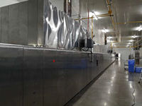 Four tunnel automatique pour pizza