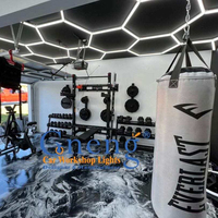 Gaonengo Best Honeycomb Light Home Gym Equipement Lighting Hexagonal Decorative Gym Light