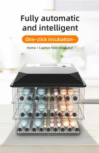 Giá rẻ hoàn toàn tự động <span class=keywords><strong>mini</strong></span> 192 trứng gà lồng ấp để sử dụng nhà - Product Image 2