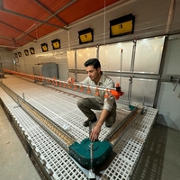 Plancher en plastique pour poulailler de poulets de chair, élevage au sol, poulailler de poulets de chair, plancher pour élevage de poulets de chair