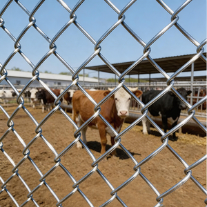 Oferta Especial: Rollo de Malla de Alambre Galvanizado con Orificios Cuadrados para Cercas Agrícolas, Directo de Fábrica, Ideal para Conejos, Pollos y Otros Animales - Product Image 3