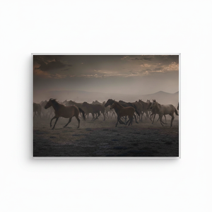 Arte de pared de vidrio templado con diseño de caballos salvajes: Impresión en lienzo, arte en vidrio templado - Product Image 2