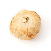 Champignons Crinière de Lion Entiers Séchés, Hericium Erinaceus Déshydraté, Champignon Comestible Gourmand pour la Cuisine, Fournisseur d'Usine en Gros