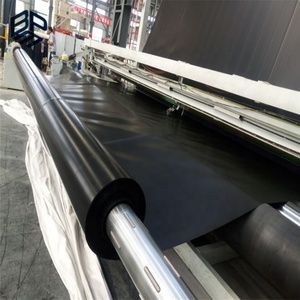 500ไมครอนแผ่นพลาสติกสำหรับบ่อตกปลาอินเดีย - Product Image 3