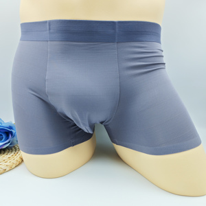 Wholesale Premium Men Underpants <b>Boxer</b> <b>Long</b> Leg Breathable Open Front Men Mid Rise <b>Boxer</b> Underwear Custom Logo Nylon 5 Color - Product Image 2