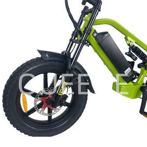 Nouveau Style vert 7 vitesses 750w 1000w grande puissance vélo de montagne à suspension complète vélo électrique de neige - Product Image 2