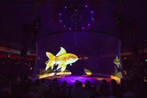 Large Scale Outdoor Hologram <strong>Projection</strong>,Pepper Scrim <strong>Transparent</strong> 3D holo Gauze - Product Image 3