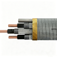 Cable ESP de Media Tensión QYEQ, Conductor de Cobre, Resistente a la Corrosión por Petróleo y Gas, Cable para Pozos, Clasificación IP65, 5kV