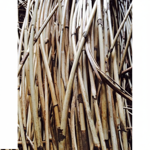 High Grade Fresh Raw <b>Rattan</b> Cane <b>Webbing</b> for Furniture-Roll Packing Promotional Brand Vegetable - Product Image 1