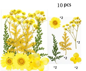 Flores Secas Prensadas Florales Variadas, Paquete Mixto de Flores Naturales Secas Prensadas para Manualidades - Product Image 6