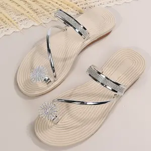 Chanclas de Punta abierta para mujer, sandalias de verano populares, con estilo, venta al por mayor