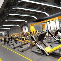 Lámpara Colgante LED para Gimnasio, Supermercado, Centro Comercial, Estilo Industrial, Forma Creativa, Cibercafé, Estudio de Danza, Luz Especial