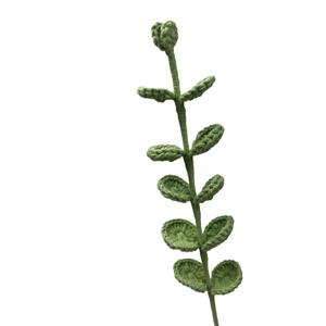 โครเชต์ทำด้วยมือโคลเวอร์สี่ใบถักฤดูใบไม้ผลิใบไม้ประดิษฐ์ดอกยูคาลิปตัสกระดองเต่าไม้ไผ่ - Product Image 5