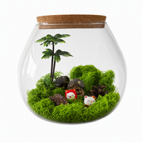 Terrarium en verre borosilicate fait main 20*18cm pour micro-paysage, décoration de mousse, maison, bureau, bureau à domicile