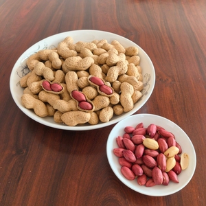 Mặn rang đậu phộng trong vỏ lành mạnh Kem rang đậu phộng hương vị ngọt ngào đầy đủ thân hạt lý tưởng Snack đậu phộng Snack - Product Image 2