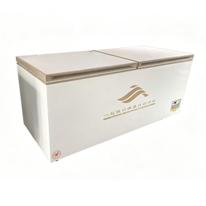 Congélateur coffre commercial à compartiments, optionnel, classe énergétique A, pour usage domestique, hôtelier et extérieur - Product Image 2