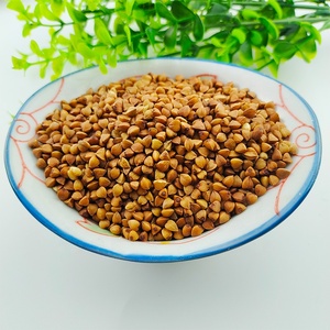 高品質のタンパク質とカルシウムが豊富なローストそばカーネル - Product Image 5