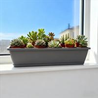 Grande jardinière rectangulaire en plastique durable et écologique Holland pour balcon Plantes d'extérieur Pot de fleur suspendu au mur