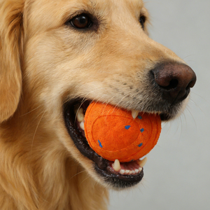 Neuer Intelligenter Hüpfball für Hunde - Lustiges Haustier-Spielzeug mit Drehfunktion und Bissfestigkeit - Product Image 6