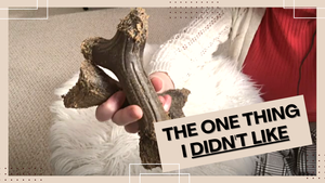 Bastone durevole per giocattoli per animali da compagnia nuovi arrivi cane masticare giocattolo masticatori aggressivi per giocattoli per animali - Product Image 5