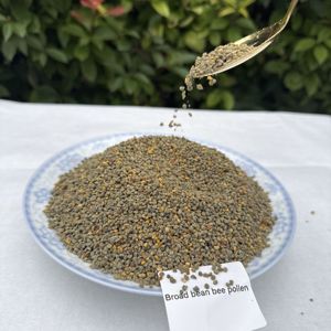 Polen de Abeja de Habas de Alta Calidad al por Mayor, Nuevo, Fresco, Materia Prima Natural, Polvo de Miel Puro y Fresco - Product Image 3
