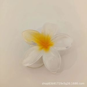 Phụ Nữ Của Tùy Chỉnh Hoa Tóc Móng Vuốt Ngọt Ngào Đầy Màu Sắc Nhựa Hoa Tóc <span class=keywords><strong>Clip</strong></span> Cho Tạo Kiểu Hàng Ngày - Product Image 3