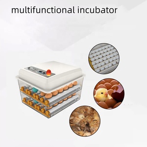 Máy Ấp Trứng <span class=keywords><strong>Mini</strong></span> Máy Ấp Trứng Gà Điều Khiển Thông Minh Tự Động 6/9/12/16/24/30/36/48/56/96/120/196/276 - Product Image 4
